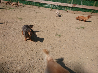 f:id:roukenhome-ann:20190811145455j:plain