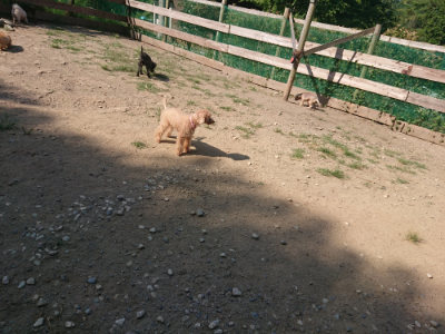 f:id:roukenhome-ann:20190811145507j:plain