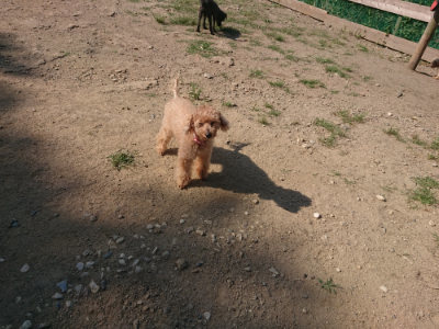 f:id:roukenhome-ann:20190811145521j:plain