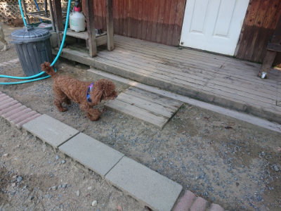 f:id:roukenhome-ann:20190811151301j:plain