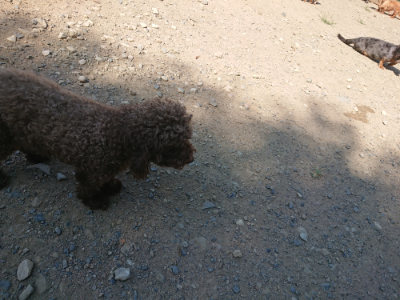f:id:roukenhome-ann:20190811151329j:plain