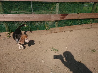f:id:roukenhome-ann:20190811152900j:plain