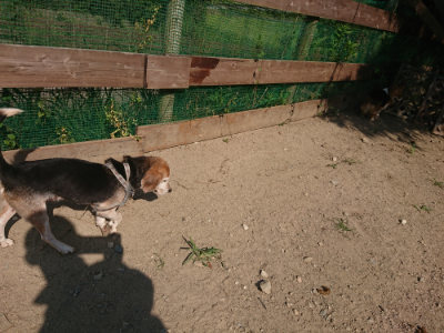 f:id:roukenhome-ann:20190811152922j:plain