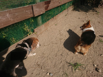 f:id:roukenhome-ann:20190811152942j:plain