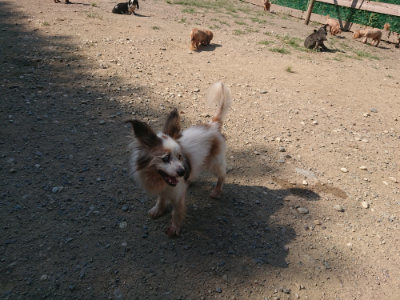 f:id:roukenhome-ann:20190811152947j:plain