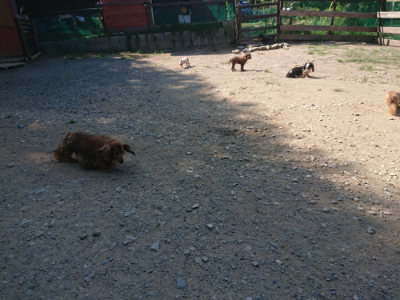 f:id:roukenhome-ann:20190811152952j:plain