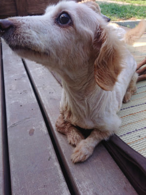 f:id:roukenhome-ann:20190811152957j:plain