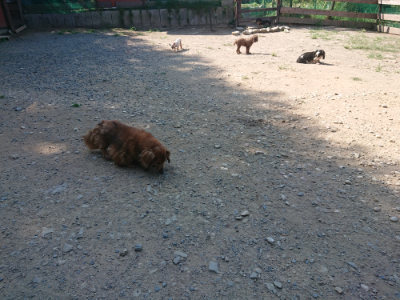 f:id:roukenhome-ann:20190811153017j:plain