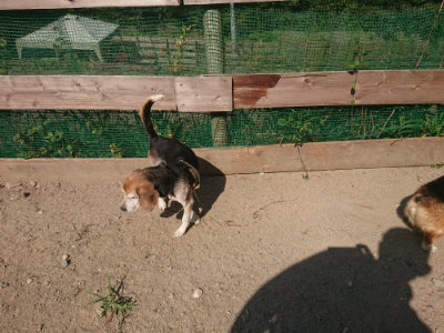 f:id:roukenhome-ann:20190811153200j:plain
