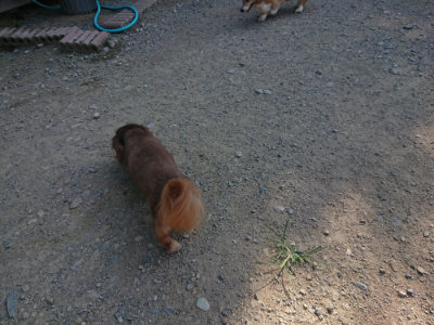 f:id:roukenhome-ann:20190811153237j:plain
