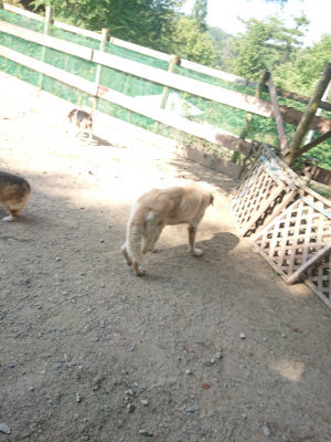 f:id:roukenhome-ann:20190811153248j:plain