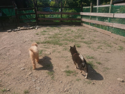f:id:roukenhome-ann:20190811153258j:plain
