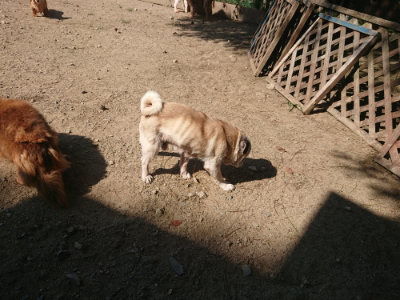 f:id:roukenhome-ann:20190811172158j:plain