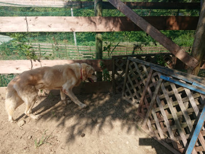 f:id:roukenhome-ann:20190811172238j:plain