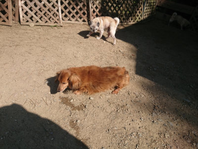 f:id:roukenhome-ann:20190811172254j:plain