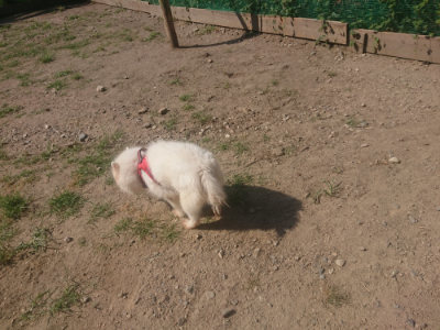 f:id:roukenhome-ann:20190811172300j:plain