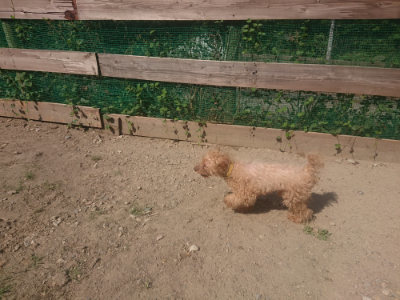 f:id:roukenhome-ann:20190811172309j:plain