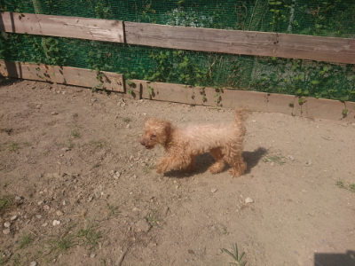 f:id:roukenhome-ann:20190811172316j:plain