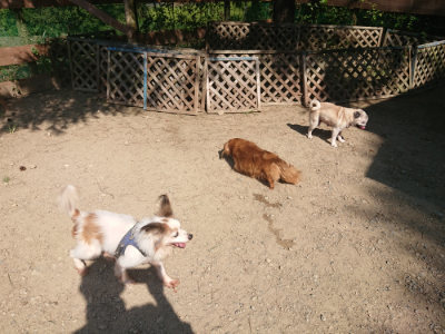 f:id:roukenhome-ann:20190811172412j:plain