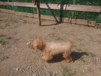f:id:roukenhome-ann:20190811172418j:plain