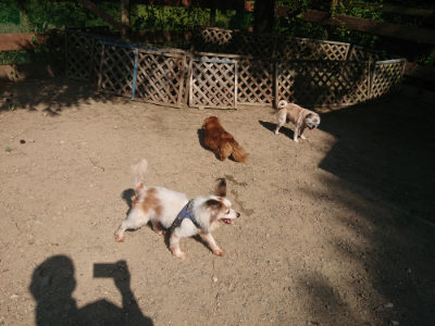 f:id:roukenhome-ann:20190811172440j:plain