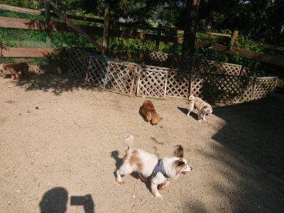 f:id:roukenhome-ann:20190811172457j:plain