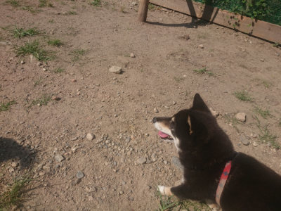 f:id:roukenhome-ann:20190811172507j:plain