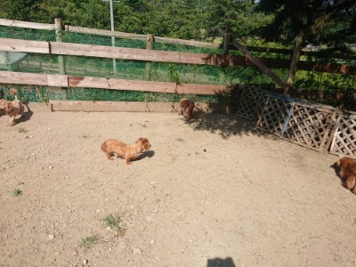 f:id:roukenhome-ann:20190811172524j:plain