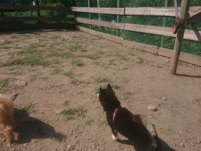 f:id:roukenhome-ann:20190811172530j:plain