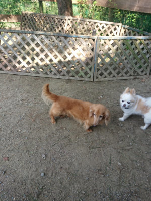 f:id:roukenhome-ann:20190811172544j:plain