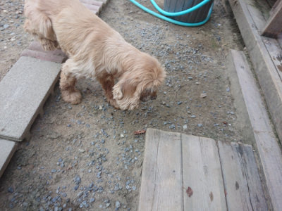 f:id:roukenhome-ann:20190811172850j:plain