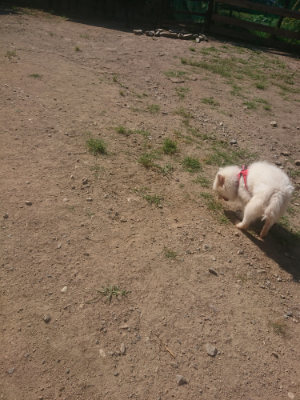 f:id:roukenhome-ann:20190811172908j:plain