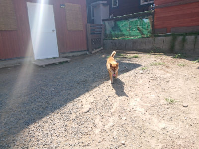 f:id:roukenhome-ann:20190811173048j:plain