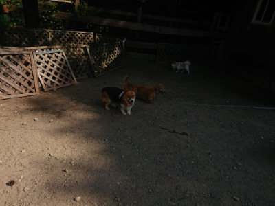 f:id:roukenhome-ann:20190811173054j:plain