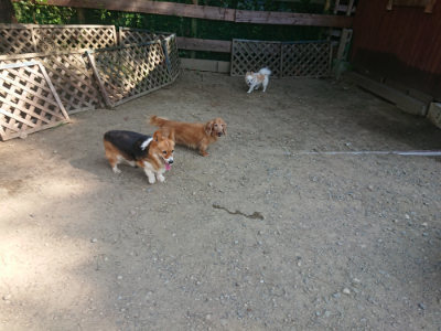 f:id:roukenhome-ann:20190811173124j:plain