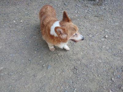f:id:roukenhome-ann:20190811173210j:plain