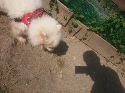 f:id:roukenhome-ann:20190811180913j:plain