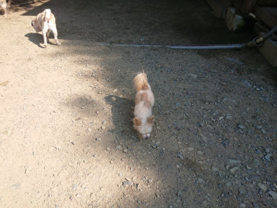 f:id:roukenhome-ann:20190811181007j:plain