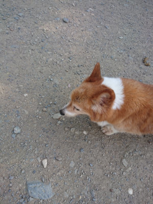 f:id:roukenhome-ann:20190811181019j:plain