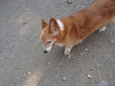 f:id:roukenhome-ann:20190811181037j:plain