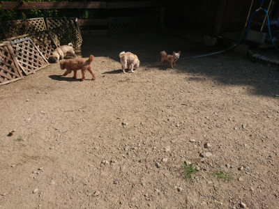 f:id:roukenhome-ann:20190811181234j:plain