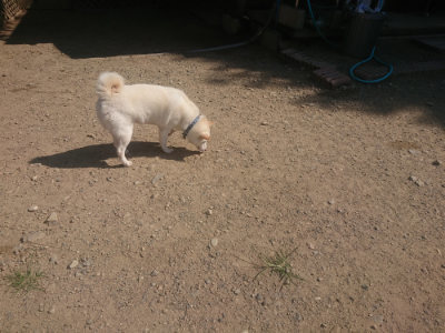f:id:roukenhome-ann:20190811181238j:plain