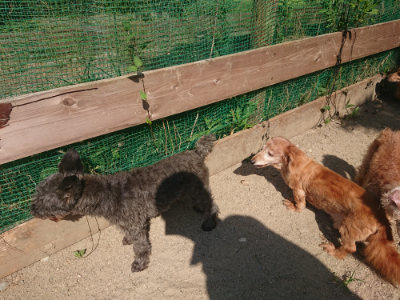 f:id:roukenhome-ann:20190811181330j:plain