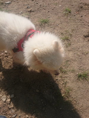 f:id:roukenhome-ann:20190811181337j:plain