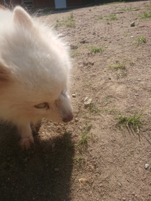 f:id:roukenhome-ann:20190811181343j:plain