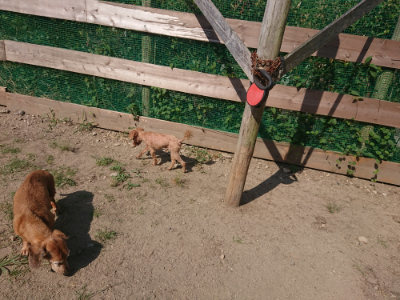 f:id:roukenhome-ann:20190811182302j:plain