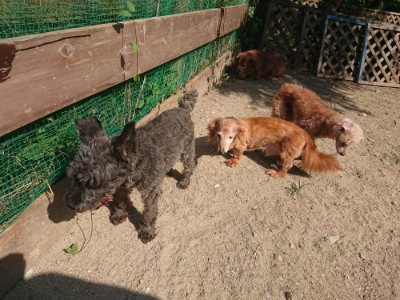 f:id:roukenhome-ann:20190811182336j:plain