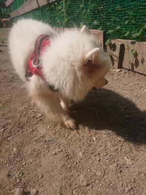 f:id:roukenhome-ann:20190811182342j:plain