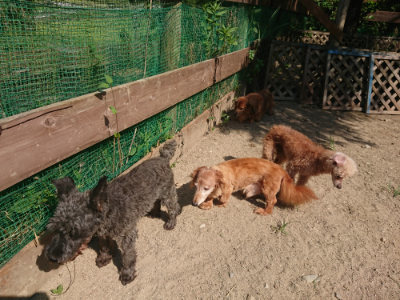 f:id:roukenhome-ann:20190811182405j:plain