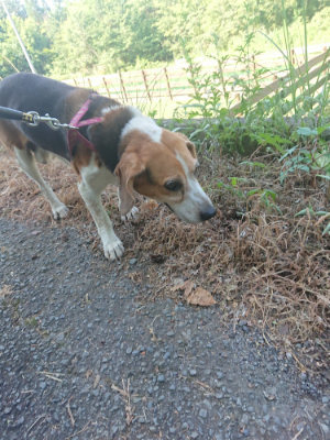 f:id:roukenhome-ann:20190811182418j:plain